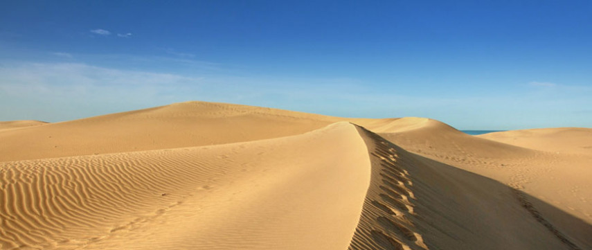 Физики говорят, что песчаные дюны взаимодействуют и «общаются» друг с другом
