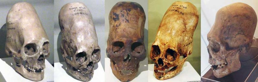Загадочные черепа, найденные в Антарктиде — правда или ложь?
