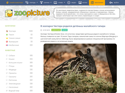 «ZooPicture.ru» — сайт о животных