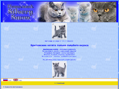 «Silvery Snow» — питомник британских кошек