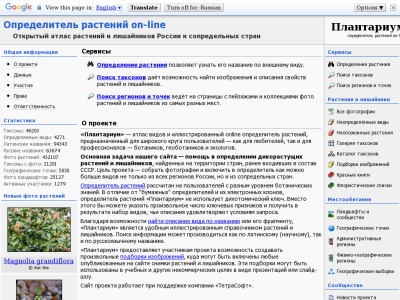 «Плантариум» — онлайн-определитель растений